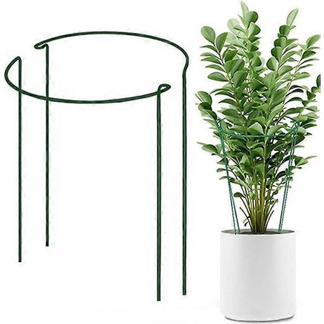 Lot de 6 supports pour plantes de jardin en métal, forme demi-cercle, pour tomates et hortensias. (1/5)