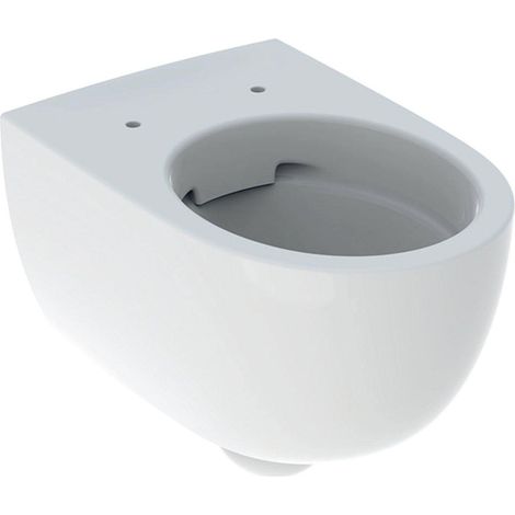 GeberitSestrageberit 300 confort WC à fond creux, sans bride, rehaussé, Blanc