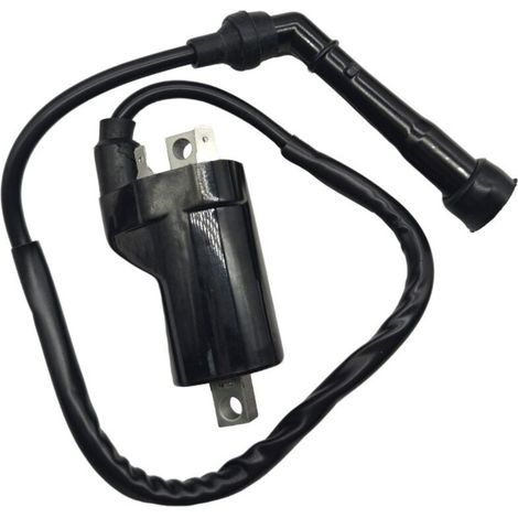 Pièces de rechange pour bobines de stator de magnéto CG125 à 8 pôles et bobines de générateur pour motos.