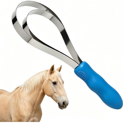 Brosse pour poils d'animaux double face en acier inoxydable (1/5)
