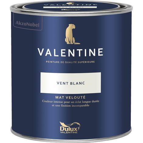 Dulux Valentine Peinture intérieure de haute qualité - Valentine - Couleur intense & pouvoir couvrant élevé - Mat Velouté Vent Blanc 0,5 L