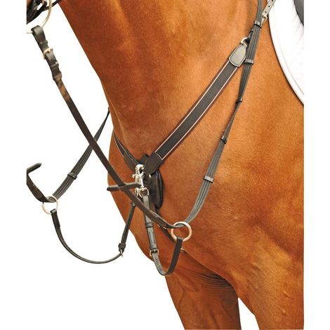 cob, Brown: Plateau avec martingale et élastique large (1/4)