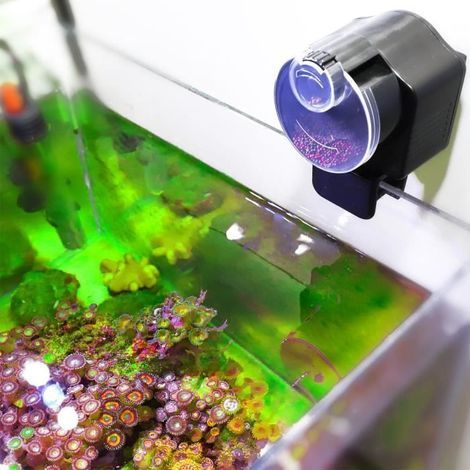 Mangeoire à poisson automatique compacte Distributeur d'aliments pour poissons Outil d'alimentation-LAT (1/4)