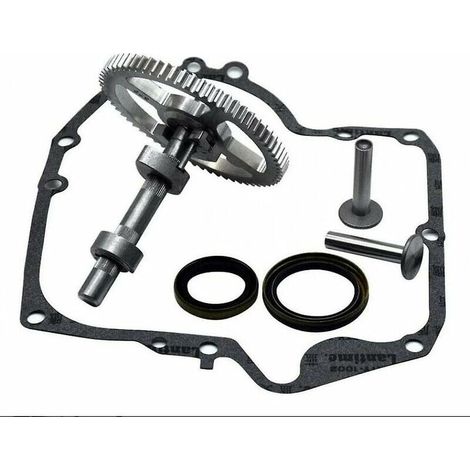 Green Mobility-Arbre à cames Briggs & Stratton 793880 793583 792681 791942 795102 Kit de remplacement de came avec joint d'huile 795387 et joints de carter Ruikalucky 697110 (1/4)