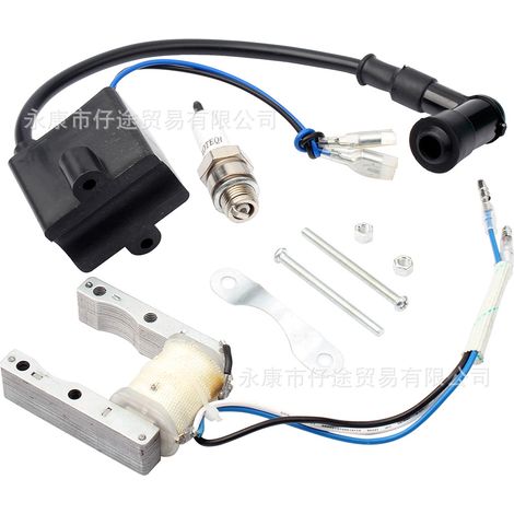 Mini-Motorradmotor 50/80 cm³ Zündspule Magnetzünder Hochspannungsspule Zündkerze CDI-Einheit (1/5)