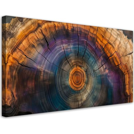 Tableau déco Cernes d'arbre colorées 100x50 (1/5)