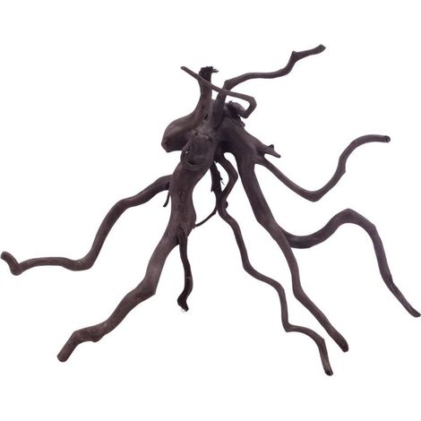 L Black Spider Wurzel Nr.5214 Fingerwurzel Echtholz Deko Aquascaping