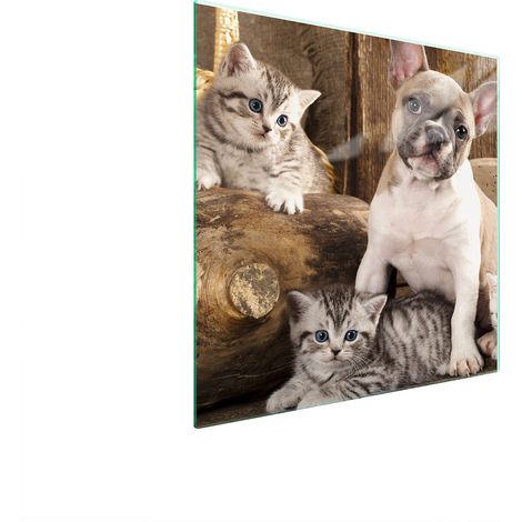 GLASSCHUTZPLATTE FÜR HERD 50x52 HUND (1/5)