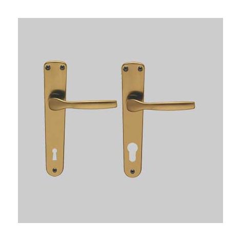 Maniglia ginevra con placca foro yale - colore argento