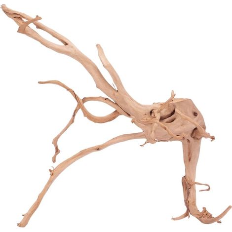 XXL Moorkienwurzel Nr.4326 Holz Deko Aquascaping