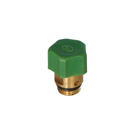 Robinet de vidange 1/4" pour Vanne d'arret (1/2)
