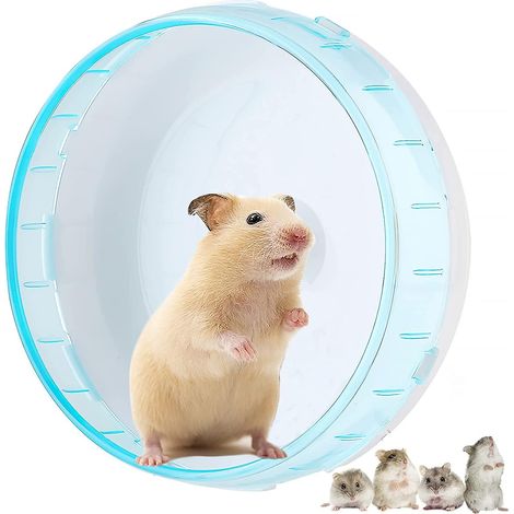 Roue d'exercice silencieuse de 12 cm pour souris, gerbilles et rats (sans support) (1/5)