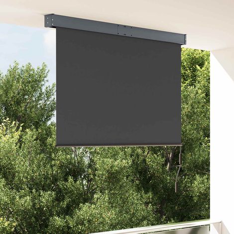 vidaXL Tenda a Rullo per Esterni 140x250 cm Antracite