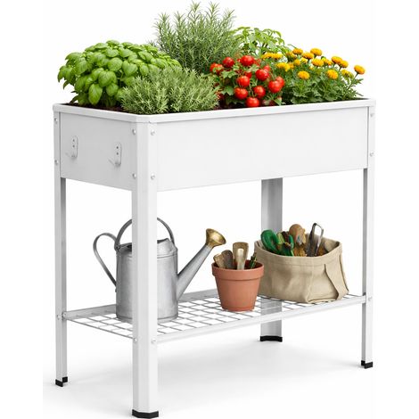 Pflanzkasten Hochbeet 80x35 Balora XL