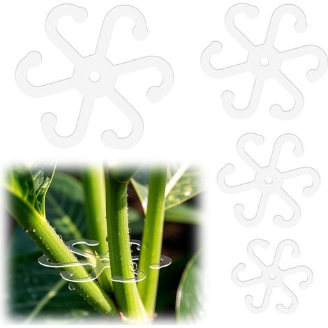 4pcs Supports de Tiges de Plantes, avec Trous Acrylique Treillis pour Plantes Support pour Feuilles Support d'escalade pour Intérieur et Extérieur Plantes d'Intérieur (4 Tailles, Transparent) (1/5)
