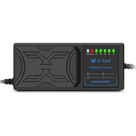 Chargeur de véhicule électrique 60 V 50 Ah, protection contre les fuites de courant, prise européenne