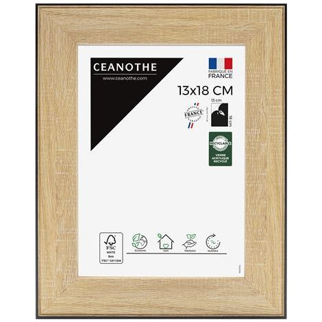 Ceanothe Newton cornice nera 23 cm