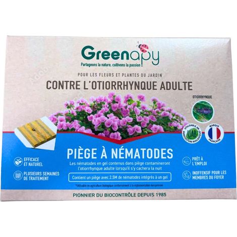 Piège Otiorrhynques adultes – Contient 2,5 millions de nématodes – Efficace contre larves et adultes – Protection des plantes sensibles – Biotop