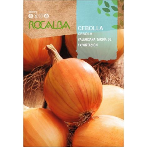 Rokalba 4G Export Valencian Zwiebel