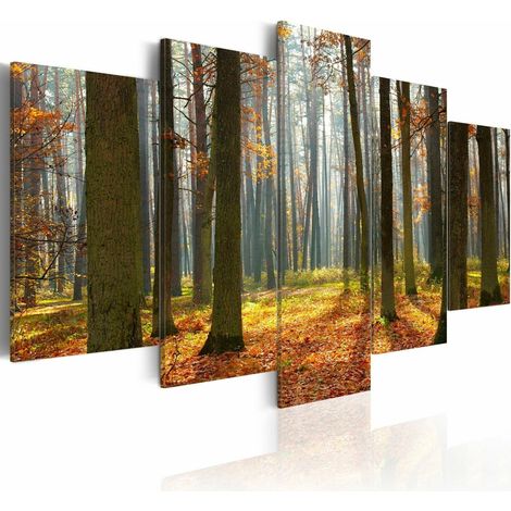 Tableau un joli paysage de forêt - 200 x 100 cm (1/3)
