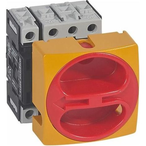 Legrand – Interrupteur-sectionneur rotatif encastré cadenassable tétrapolaire 25A – Ouverture positive des contacts – IP65 – Montage sur panneau (1/3)