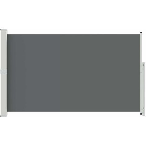 Maison Exclusive - Tenda laterale retrattile Antracite 300 x 180 cm Poliestere