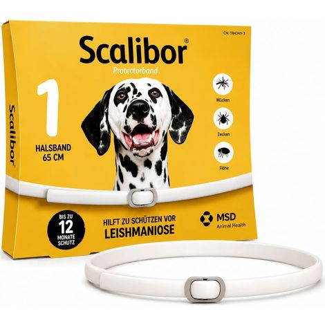 Collar antipulgas y antigarrapatas para perros, 65 cm, protección de 12 meses, collar antiparasitario impermeable, ajustable para perros medianos y grandes (1/5)