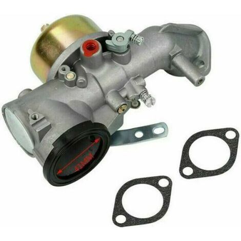 LaBlanc - Carburateur,Carburateur pour moteurs Briggs Stratton 491026/281707/491031 12cv (1/5)