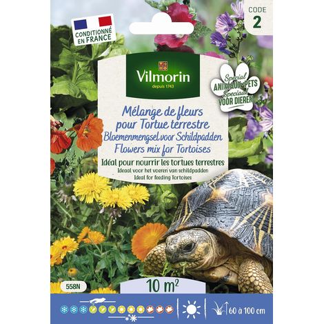 Mélange de fleurs pour Tortues Terrestres (1/5)