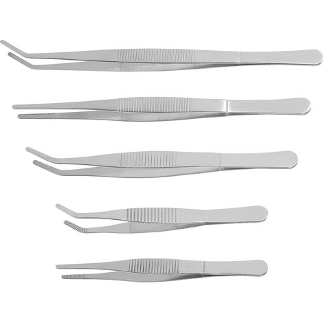 5 Pièces Kit Jardinage de Pinces à Épiler en Acier Inoxydable Outils de Jardinage de Précision (12-25cm) pour Succulentes (1/5)