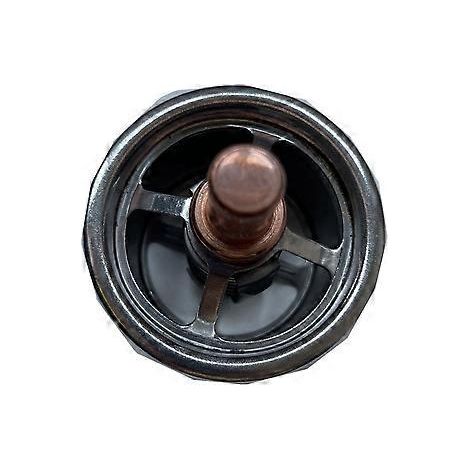 Wassertemperaturregler-Thermostat 248-5513 247-7133