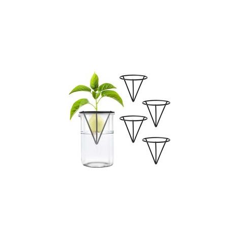 4pcs Démarreurs de Graines d'Avocat, Kits de Culture d'Avocatiers Triangulaires en Métal Support de Graines d'Avocat pour La Germination pour La Décoration de Table de Bureau à Domicile