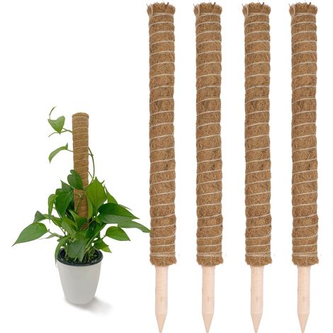 Kokos Rankstab 40 cm natur - 4 Stück - Pflanzstab für Zimmerpflanzen – Blumen Pflanz Stab Topf Rankhilfe Kletterhilfe Kokosstange für Kletterpflanzen