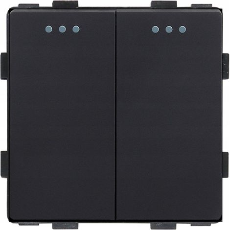 Interruptor de luz 2P inserto mecánico negro RTX SH (1/5)