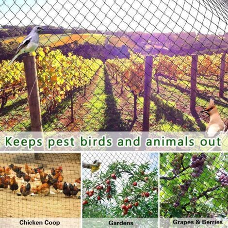 Filet anti-oiseaux lourd pour clôture de jardin et cultures, filet de protection contre les oiseaux, les cerfs, les chats, les chiens, les poulets, filet de pêche (2 m x 5 m)