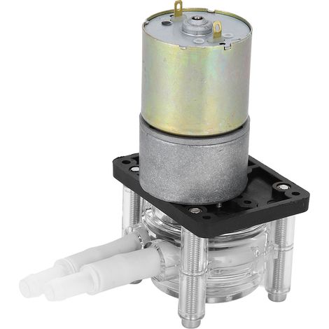 Peristaltische Pumpe, selbstansaugend, Edelstahl-Radrahmen, transparenter PC-Kopf, Gleichstrommotor (12 V) (1/5)
