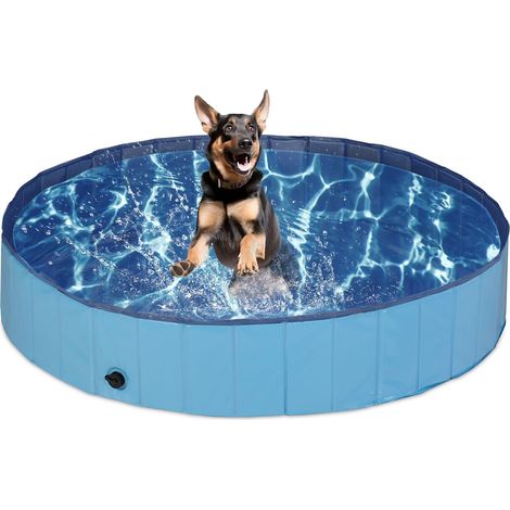 Piscina para perros azul