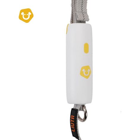 Hundeleine, Leine für kleine und mittelgroße Hunde, elastisches Seil, Kette für Corgis, gelb (1/4)