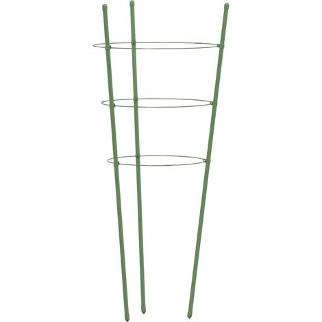 Lote de 5 soportes para plantas de jardín 21,5 x 20 x 60 cm robustos para plantas trepadoras de acero verde 020046627 (1/5)