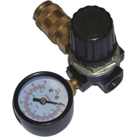 Réducteur de pression 1/4" avec manomètre horizontal – Raccord rapide 1/4" – Pression max 12 bar – Pour compresseurs – (1/2)