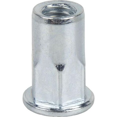 Pack 500 tuercas remachables semihexagonales acero M5 x 13,5 (1/5)