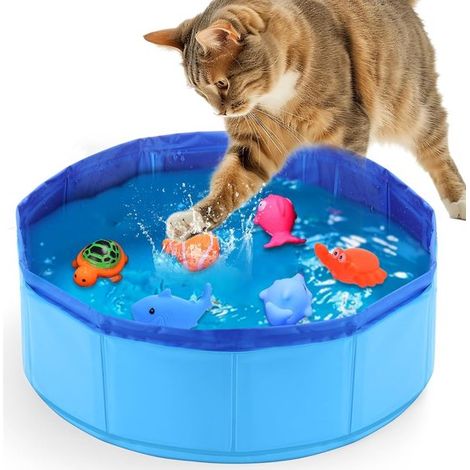 Piscina para gatos para disfrutar del verano, plegable y segura, ideal para gatitos y cachorros (1/5)