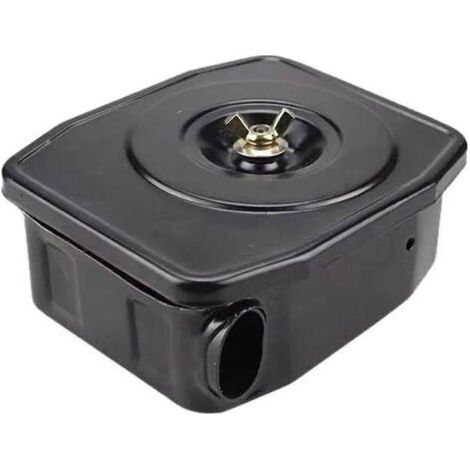 Filtre à air pour moteurs diesel avec élément filtrant, compatible avec les modèles 173F/178F. (1/2)
