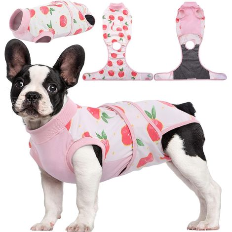 Postoperatives Genesungsset – Katzen und Hunde – professionelles Genesungsshirt – Haustiere – Verband – Bauchwunden bei Hunden – S (1/3)
