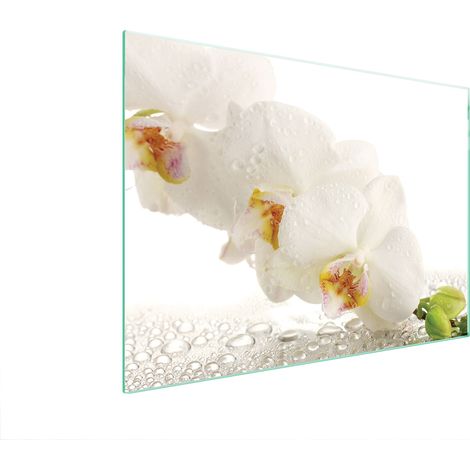 PLACA PROTECTORA DE VIDRIO PARA ESTUFA 70x52 ORQUÍDEA (1/5)