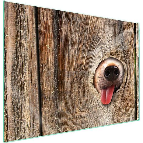 Plaque de protection en verre pour poêle à bois 70x52 (1/5)