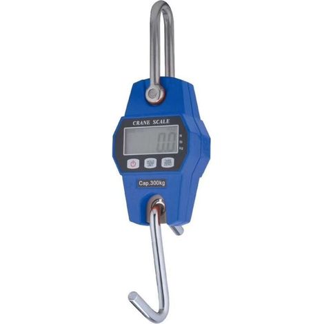 Industrieller Hakendynamometer mit LCD-Anzeige, 300 kg Tragkraft, blau (1/3)