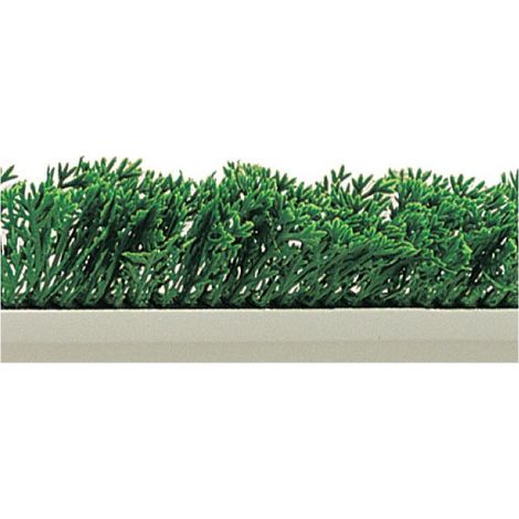 SEPARATION FEUILLAGE CYPRES SOCLE BLANC 55X750-L2G