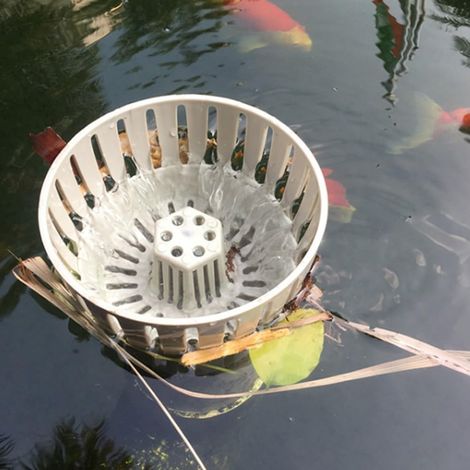 Écumoire d'évacuation de bassin Koi avec hauteur réglable (1/5)