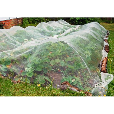 Filet anti-insectes 50gr/m² - Sans traitement UV 2.2m x 5m Cristal (1/2)